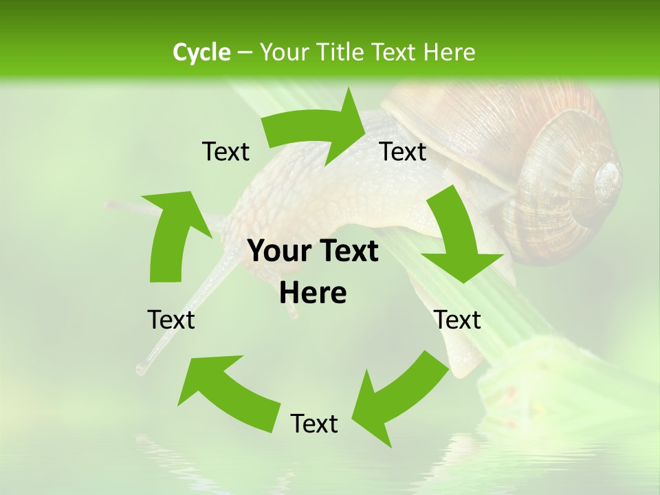 Close Up Macro Closeup PowerPoint Template