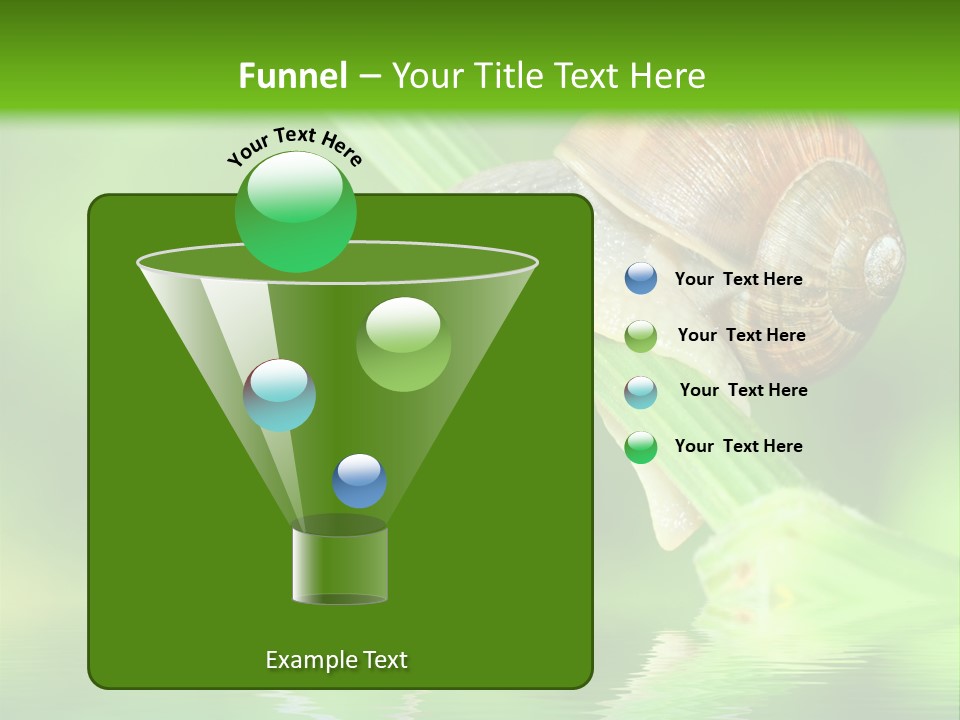 Close Up Macro Closeup PowerPoint Template