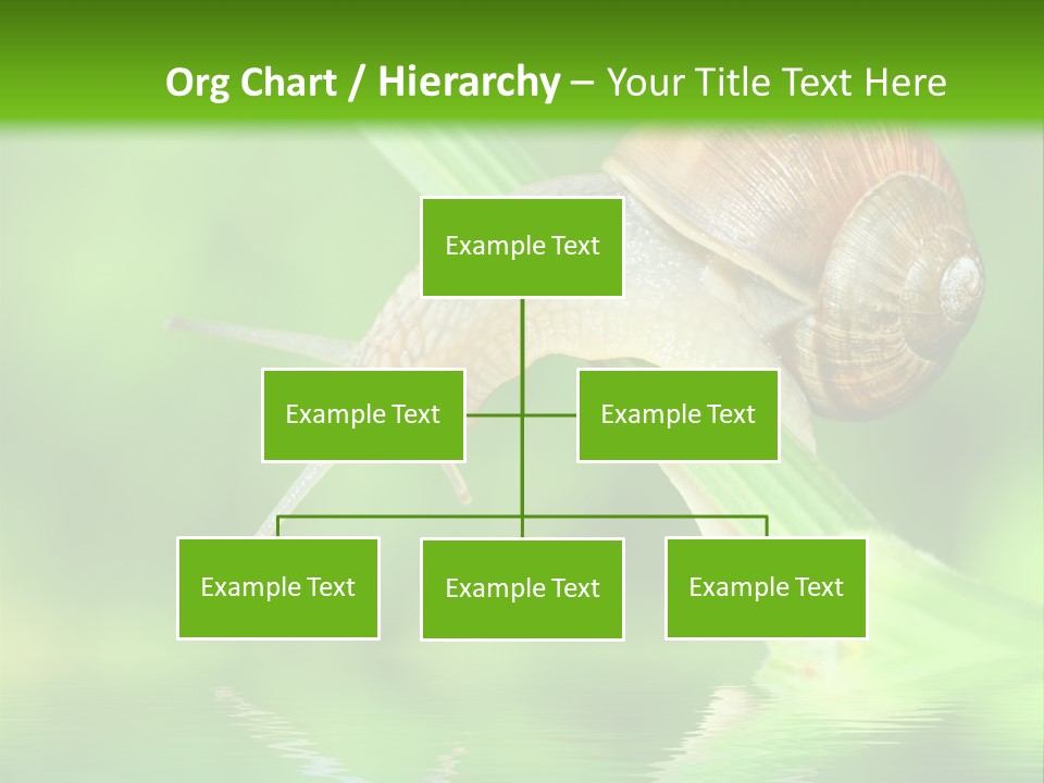 Close Up Macro Closeup PowerPoint Template