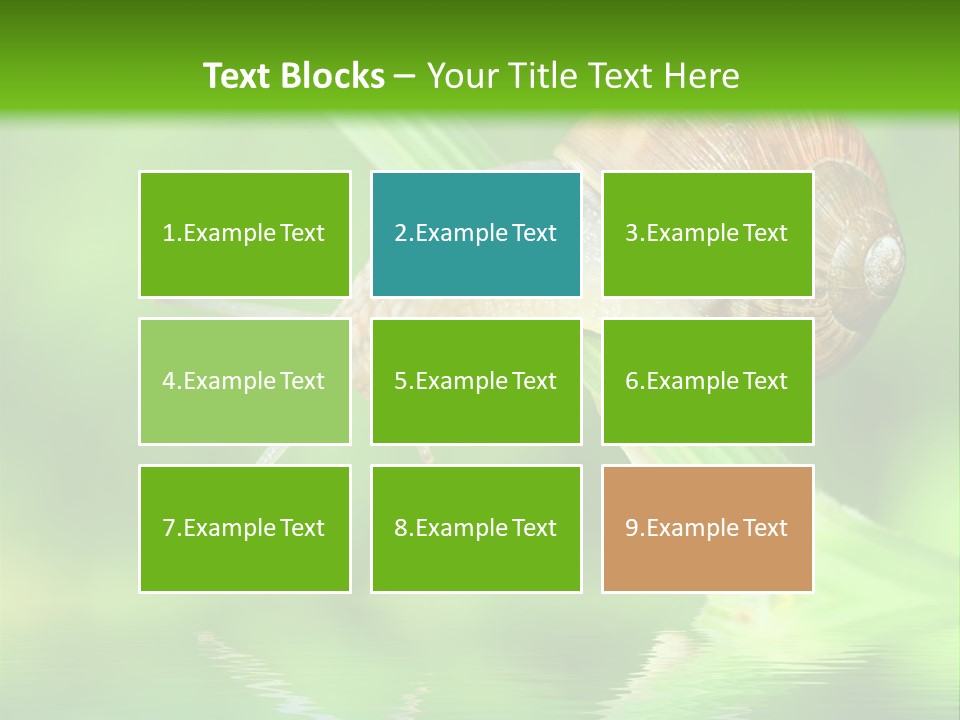 Close Up Macro Closeup PowerPoint Template