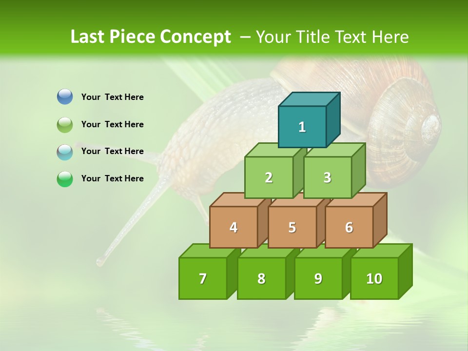 Close Up Macro Closeup PowerPoint Template