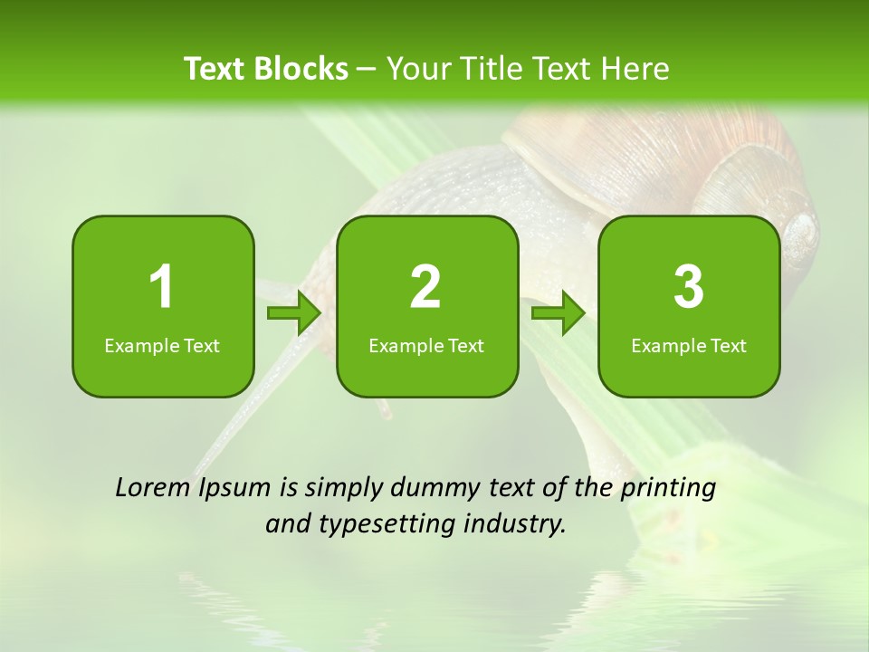 Close Up Macro Closeup PowerPoint Template