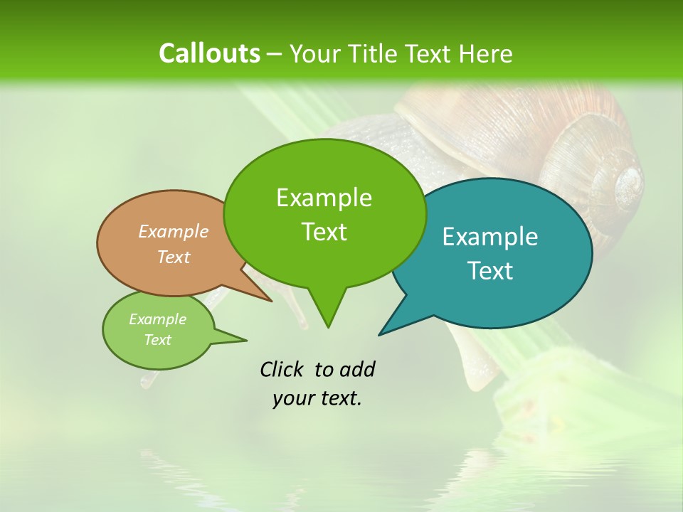 Close Up Macro Closeup PowerPoint Template