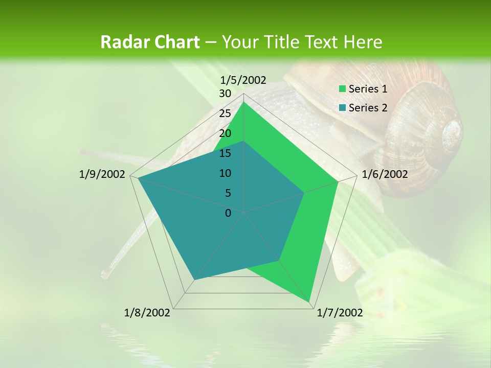 Close Up Macro Closeup PowerPoint Template