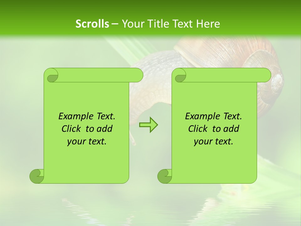 Close Up Macro Closeup PowerPoint Template