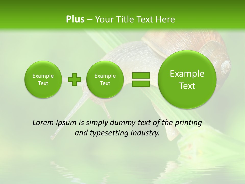 Close Up Macro Closeup PowerPoint Template