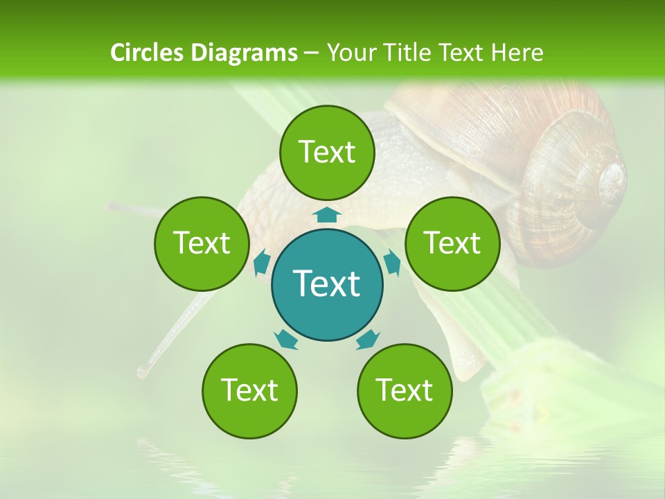 Close Up Macro Closeup PowerPoint Template