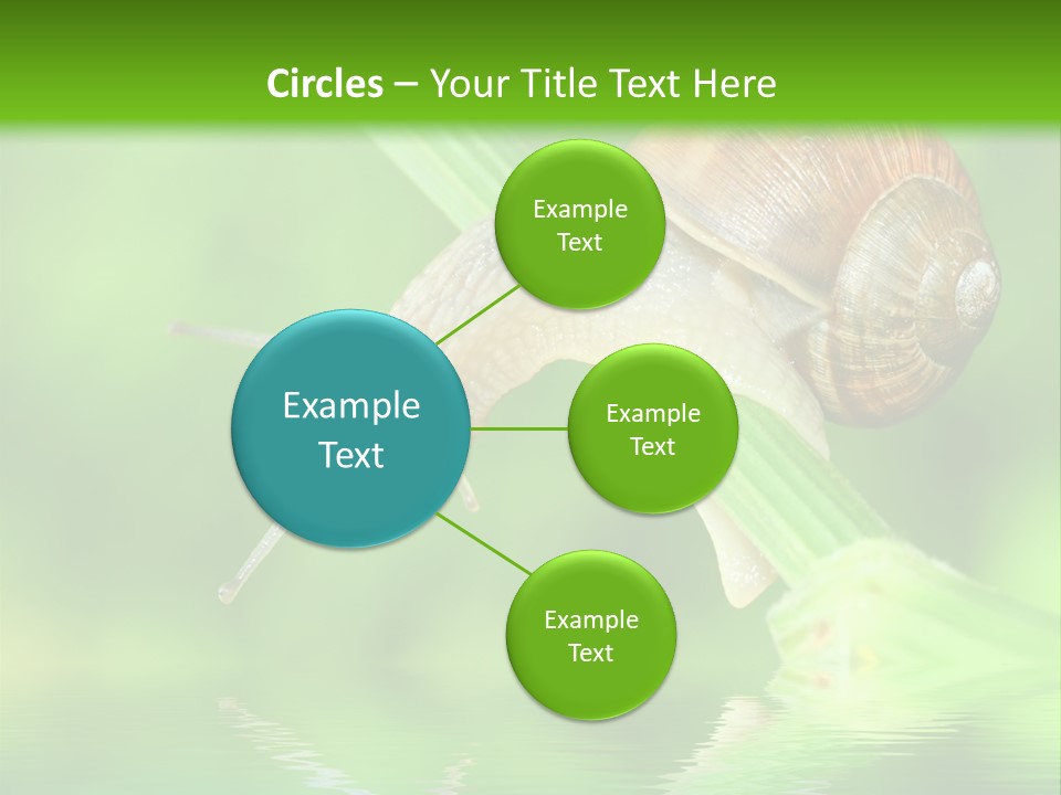 Close Up Macro Closeup PowerPoint Template