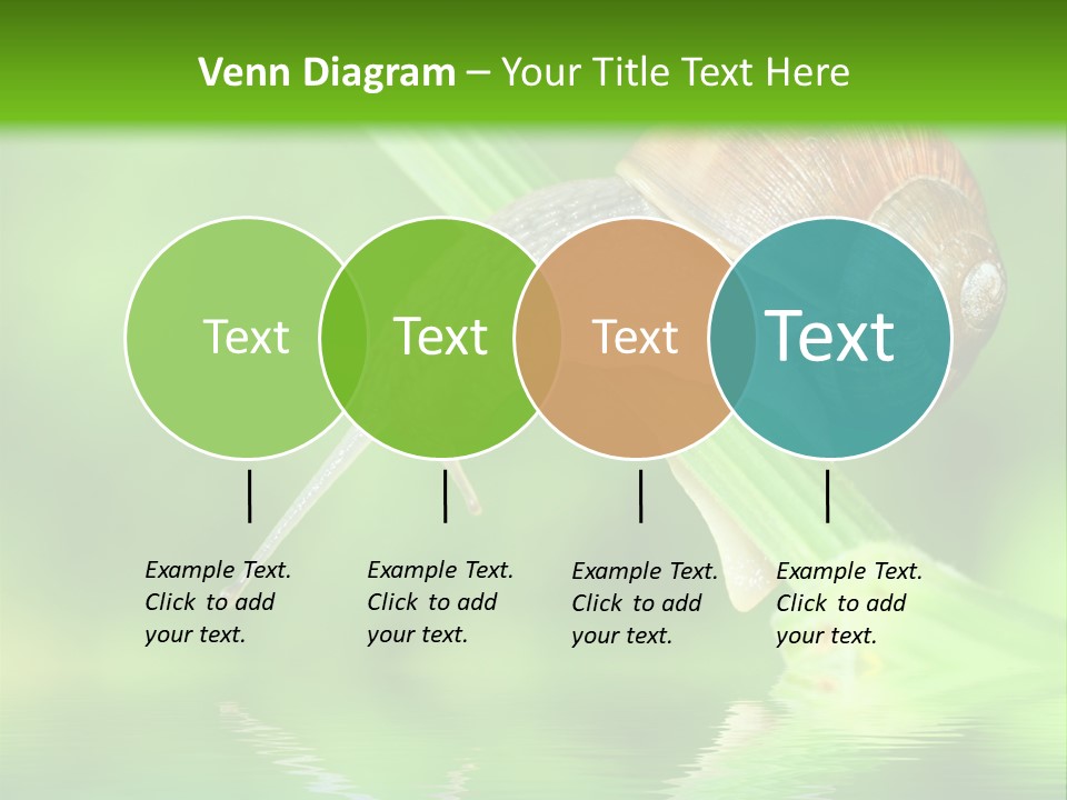 Close Up Macro Closeup PowerPoint Template