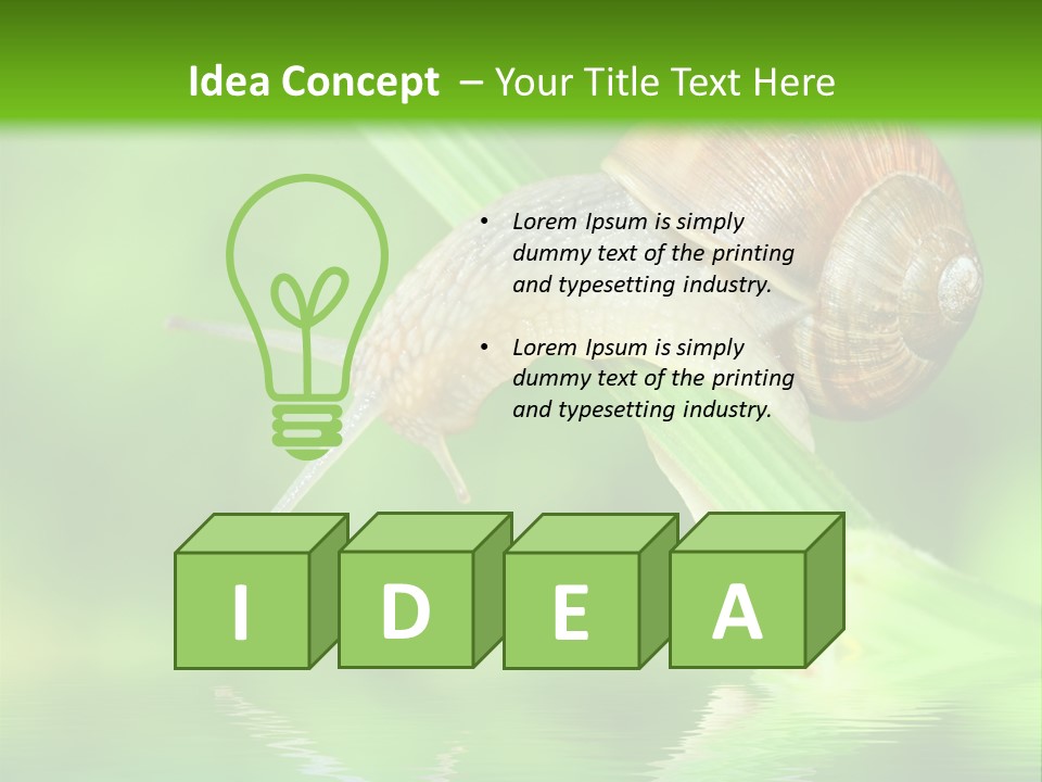 Close Up Macro Closeup PowerPoint Template