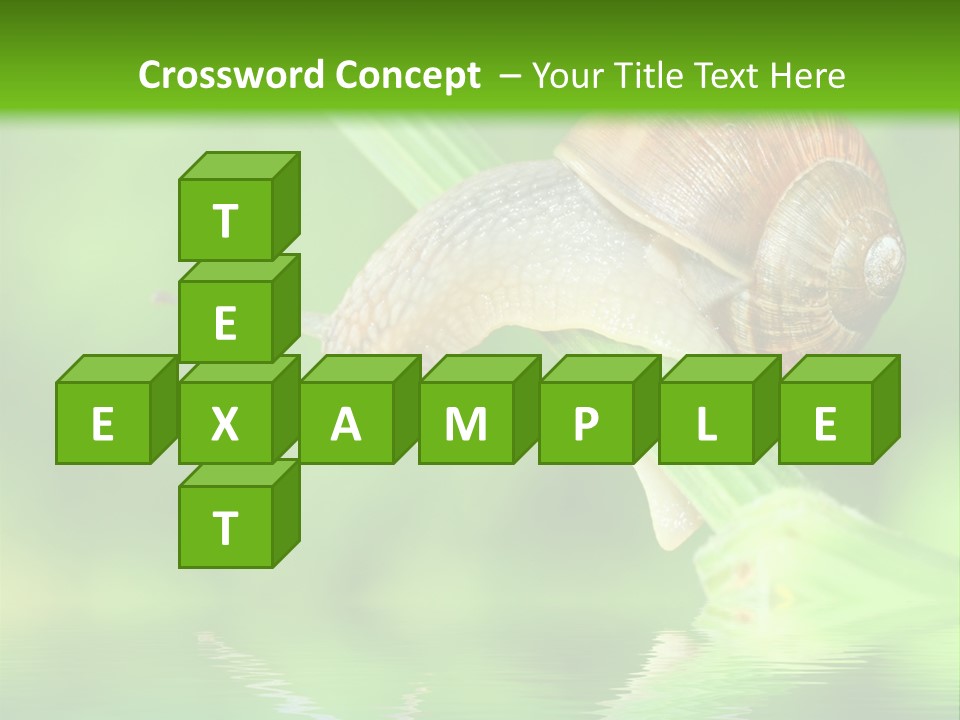 Close Up Macro Closeup PowerPoint Template