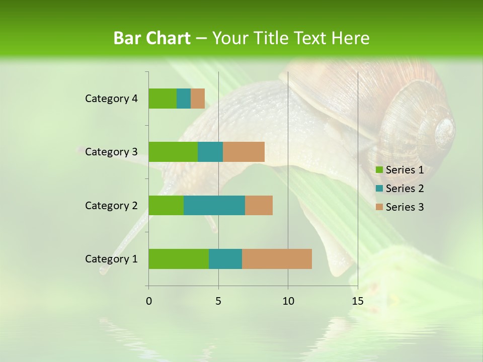 Close Up Macro Closeup PowerPoint Template