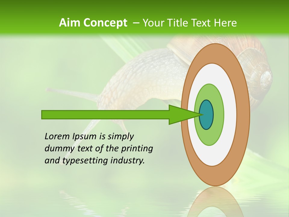 Close Up Macro Closeup PowerPoint Template