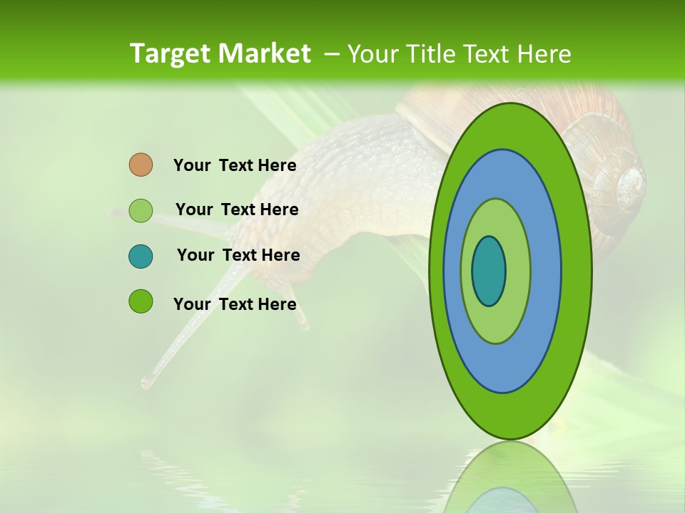 Close Up Macro Closeup PowerPoint Template