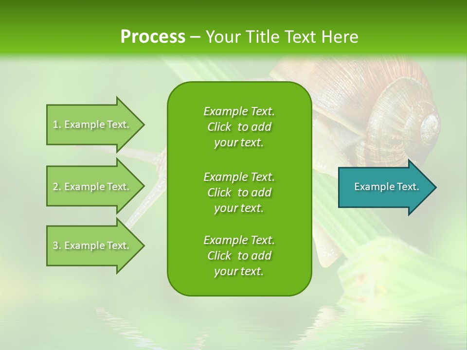 Close Up Macro Closeup PowerPoint Template