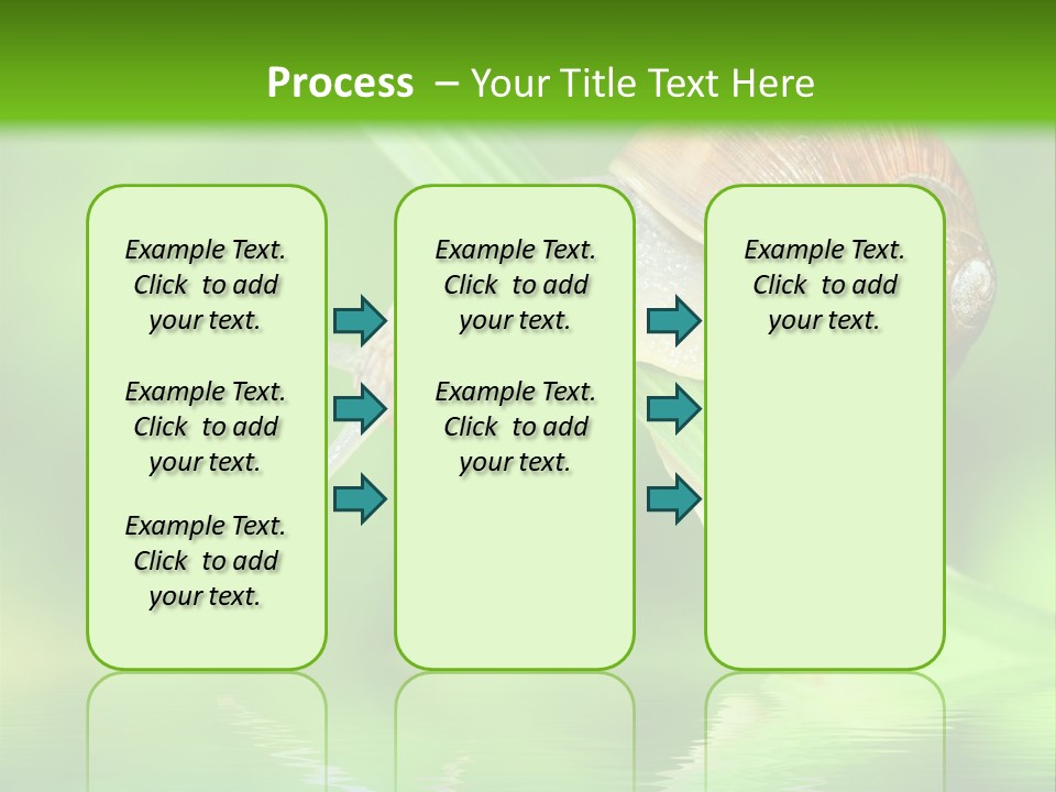Close Up Macro Closeup PowerPoint Template