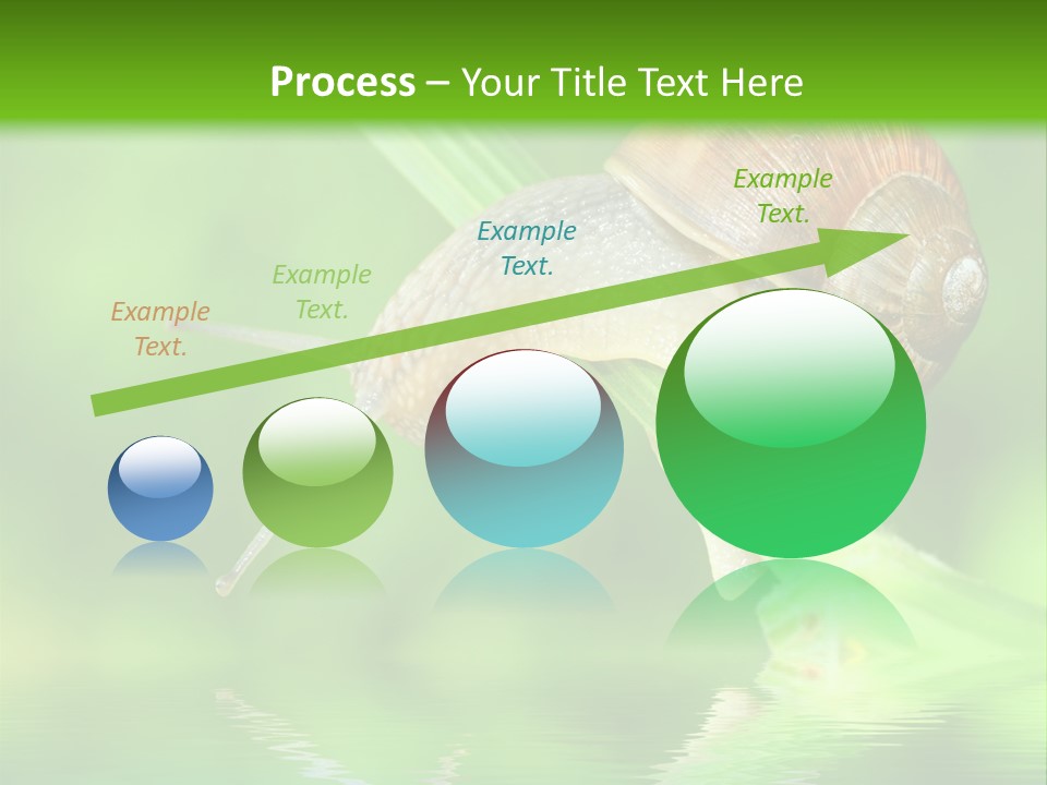 Close Up Macro Closeup PowerPoint Template