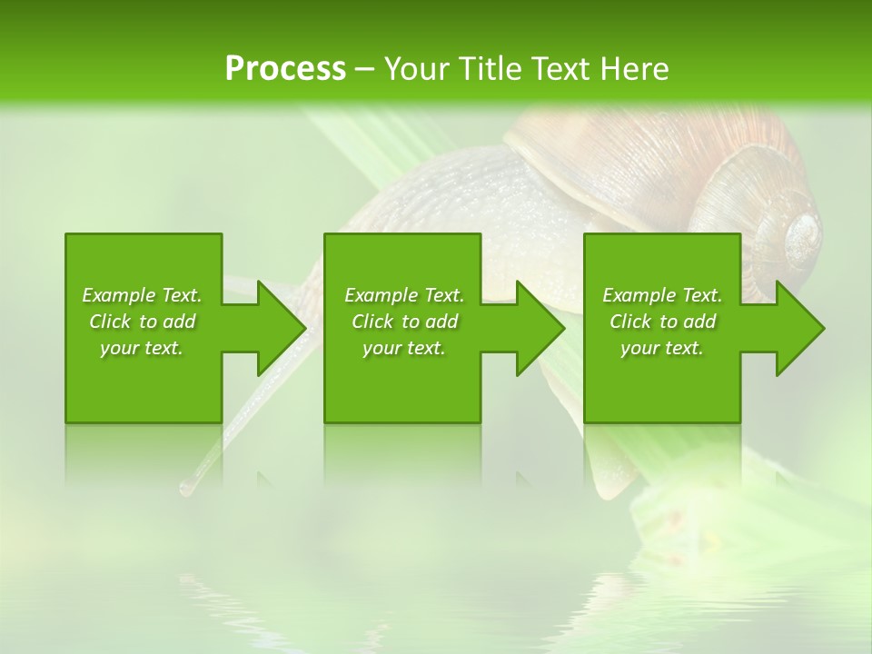Close Up Macro Closeup PowerPoint Template