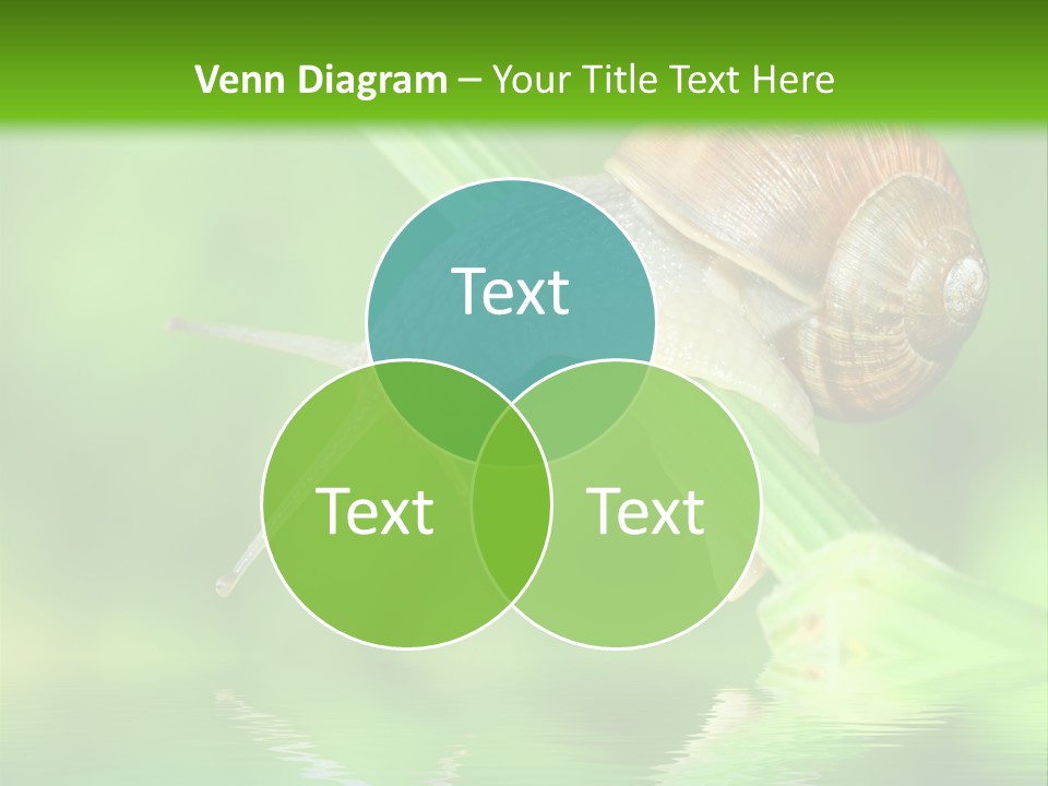 Close Up Macro Closeup PowerPoint Template