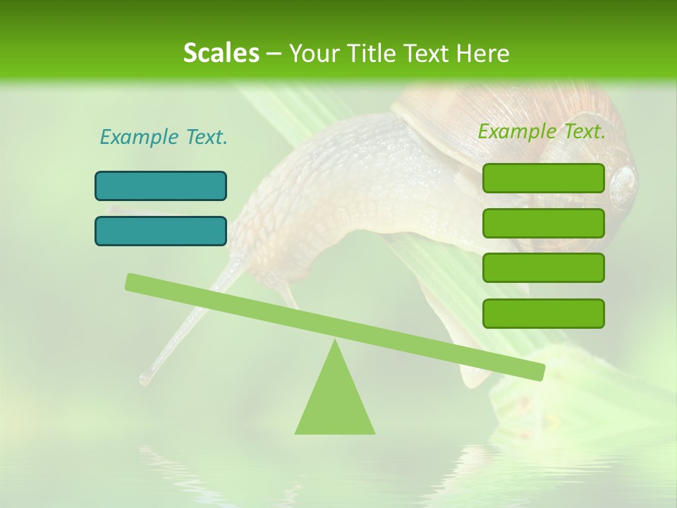 Close Up Macro Closeup PowerPoint Template