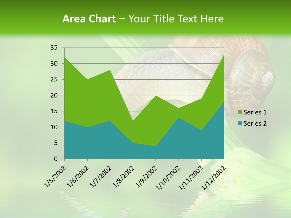 Close Up Macro Closeup PowerPoint Template