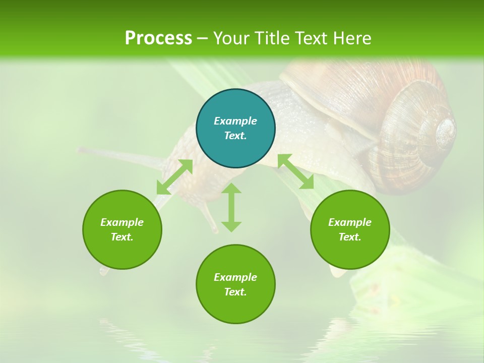 Close Up Macro Closeup PowerPoint Template