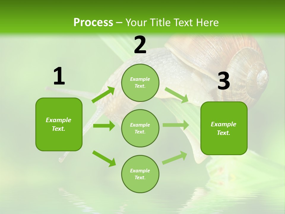 Close Up Macro Closeup PowerPoint Template