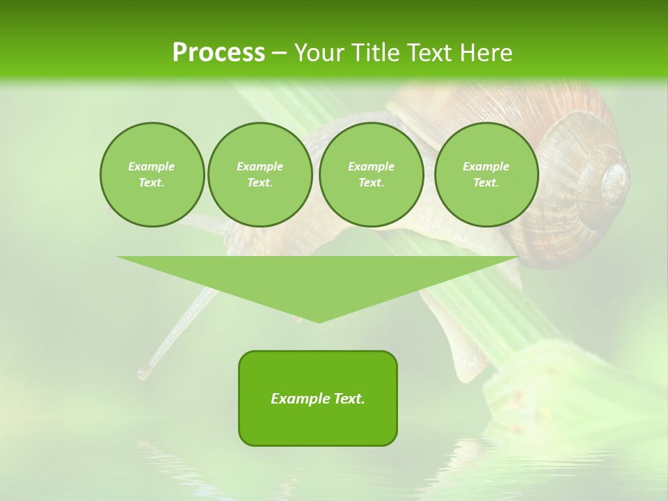 Close Up Macro Closeup PowerPoint Template