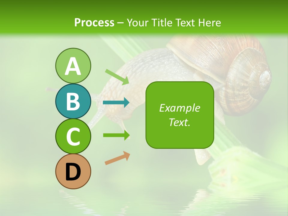 Close Up Macro Closeup PowerPoint Template