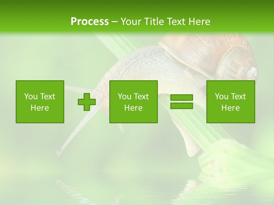 Close Up Macro Closeup PowerPoint Template