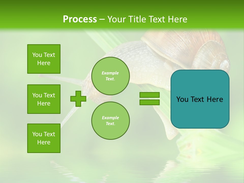 Close Up Macro Closeup PowerPoint Template