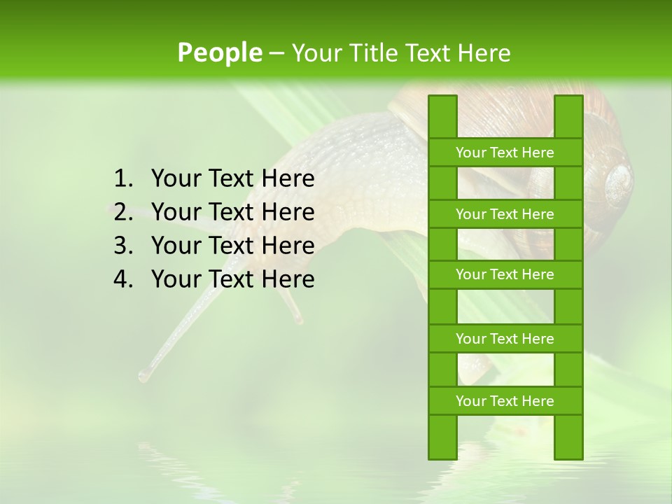 Close Up Macro Closeup PowerPoint Template