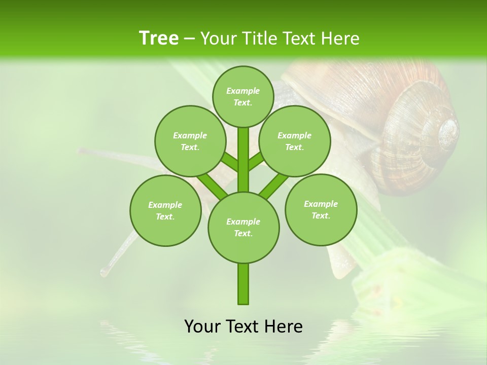 Close Up Macro Closeup PowerPoint Template