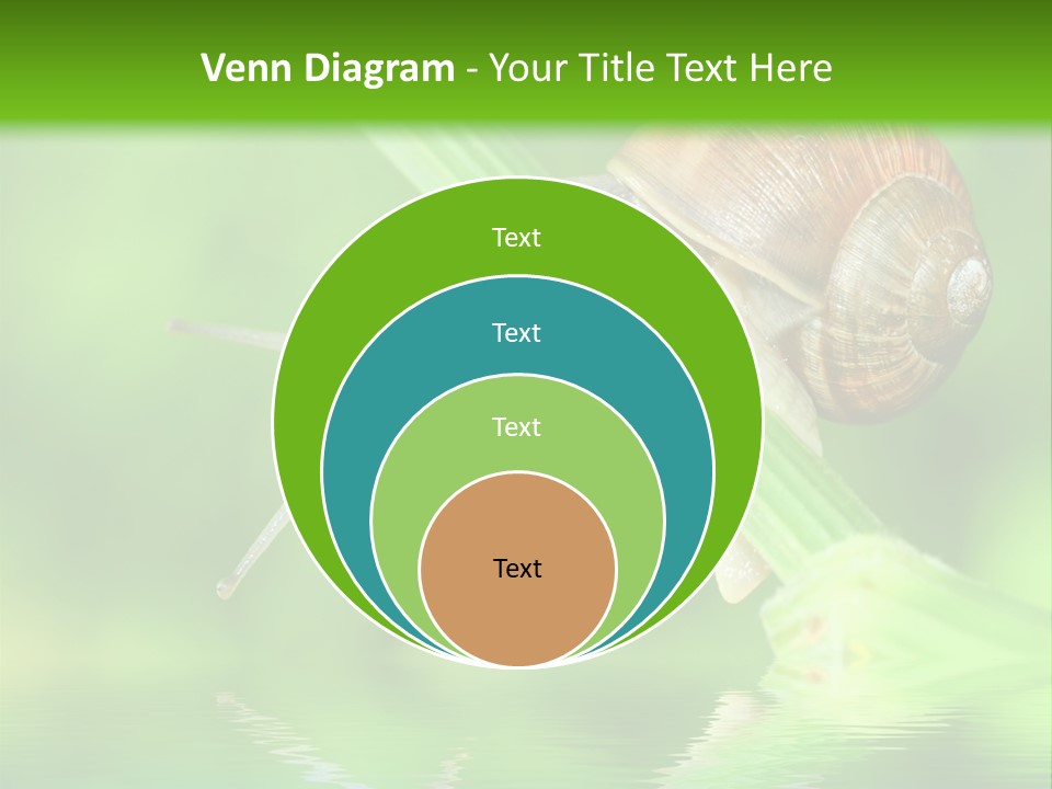 Close Up Macro Closeup PowerPoint Template