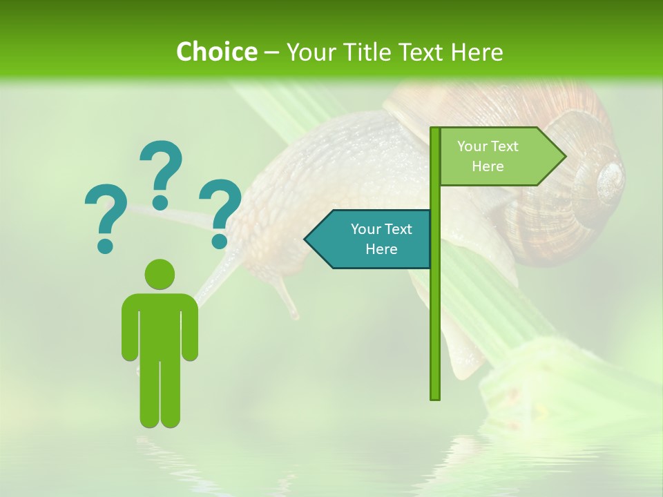 Close Up Macro Closeup PowerPoint Template