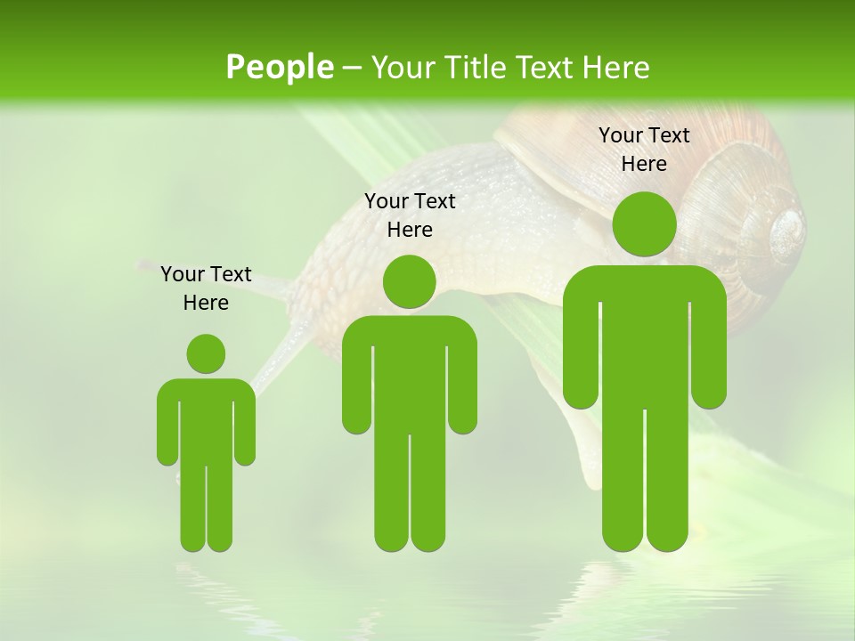 Close Up Macro Closeup PowerPoint Template