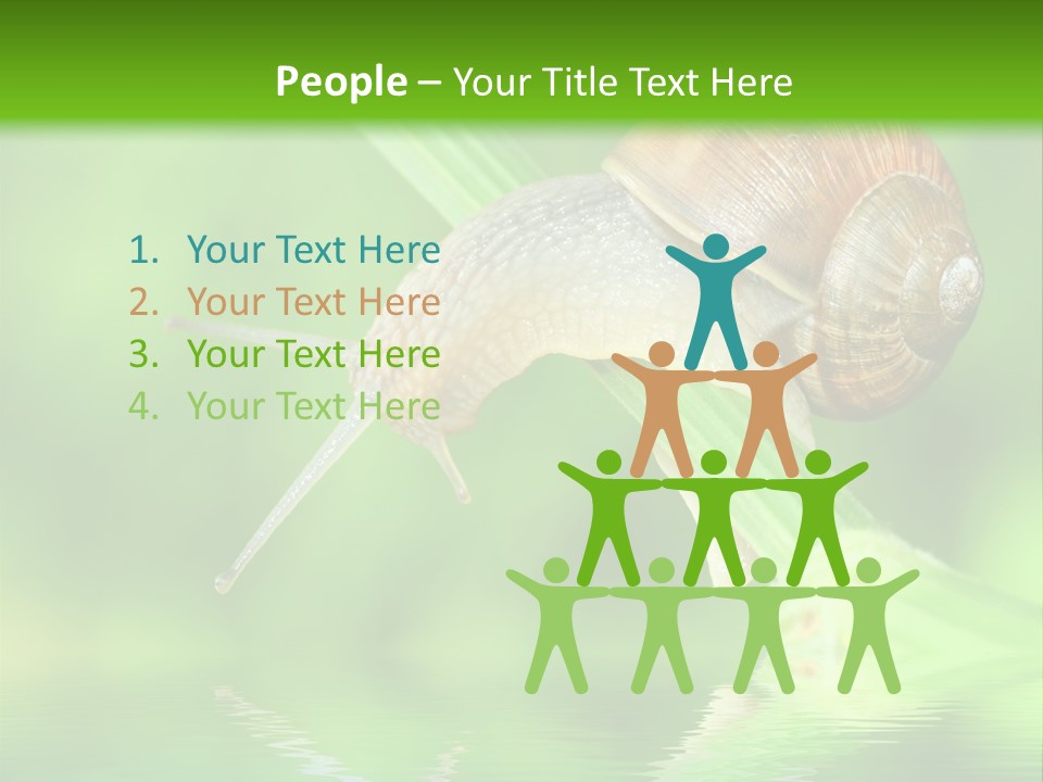 Close Up Macro Closeup PowerPoint Template