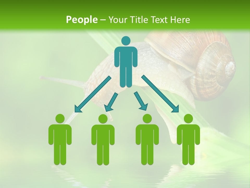 Close Up Macro Closeup PowerPoint Template