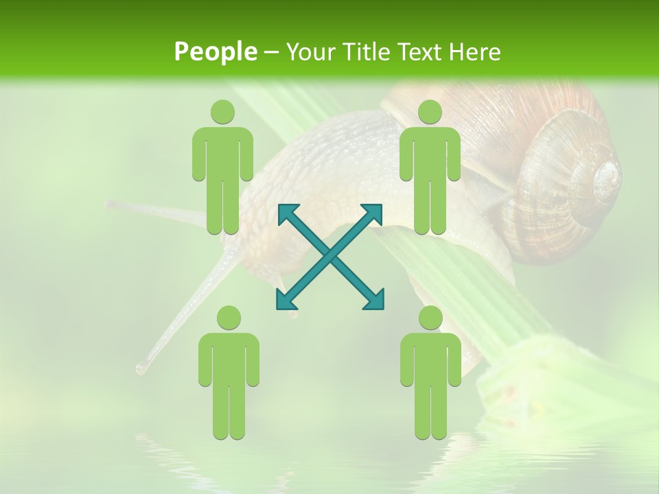 Close Up Macro Closeup PowerPoint Template