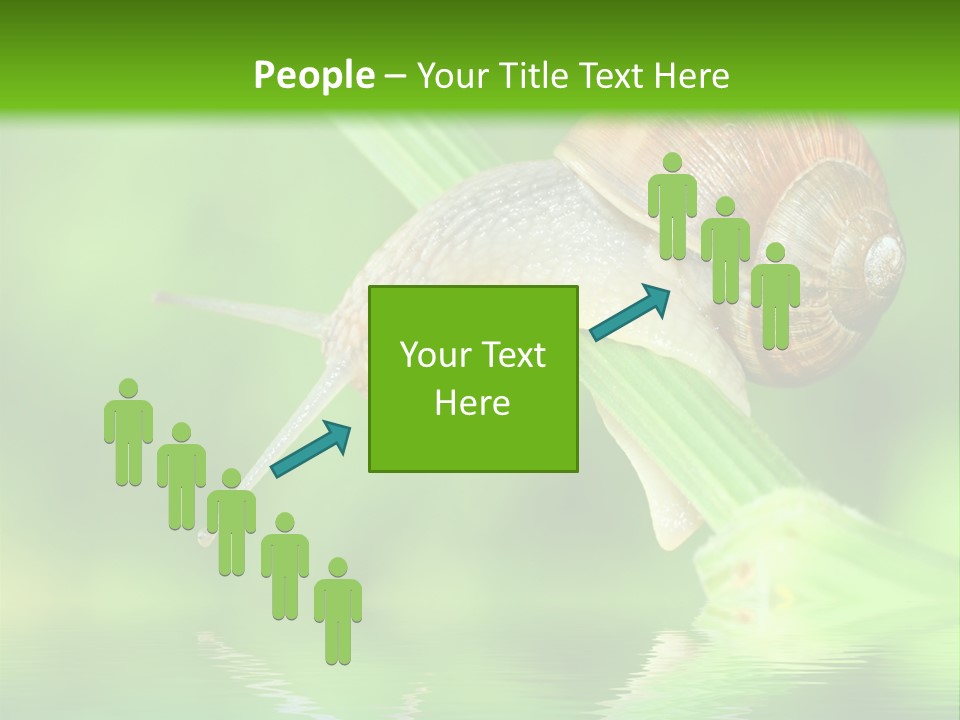 Close Up Macro Closeup PowerPoint Template