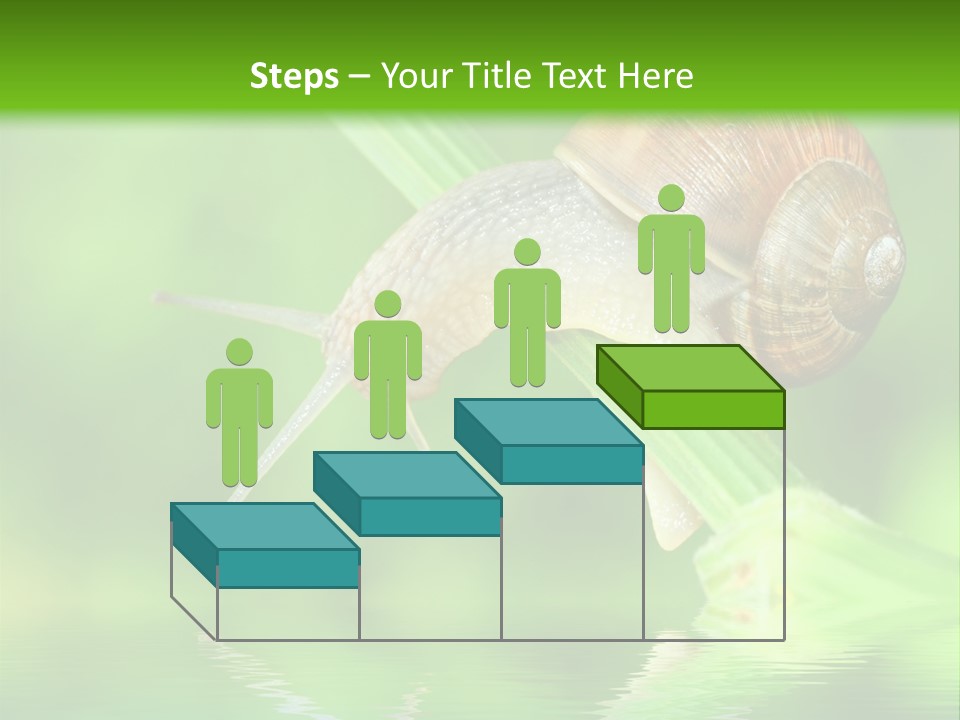 Close Up Macro Closeup PowerPoint Template
