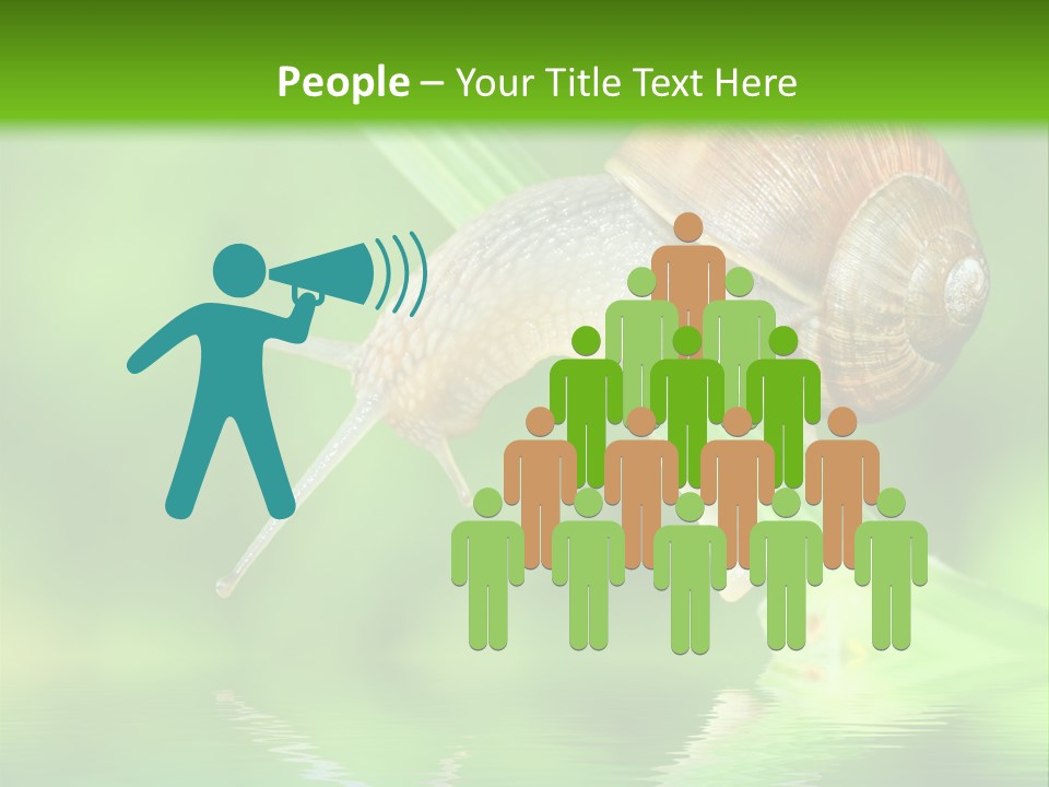 Close Up Macro Closeup PowerPoint Template