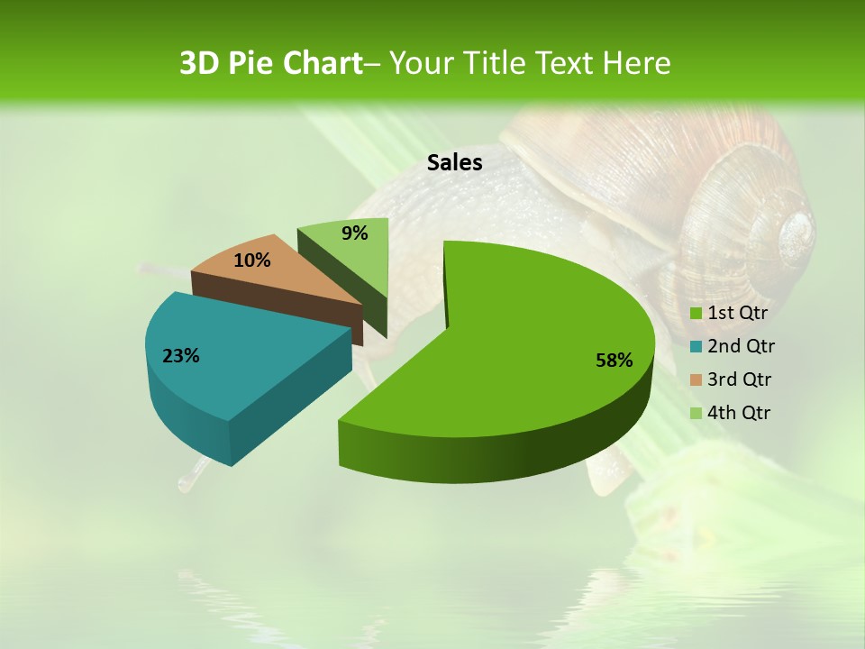 Close Up Macro Closeup PowerPoint Template