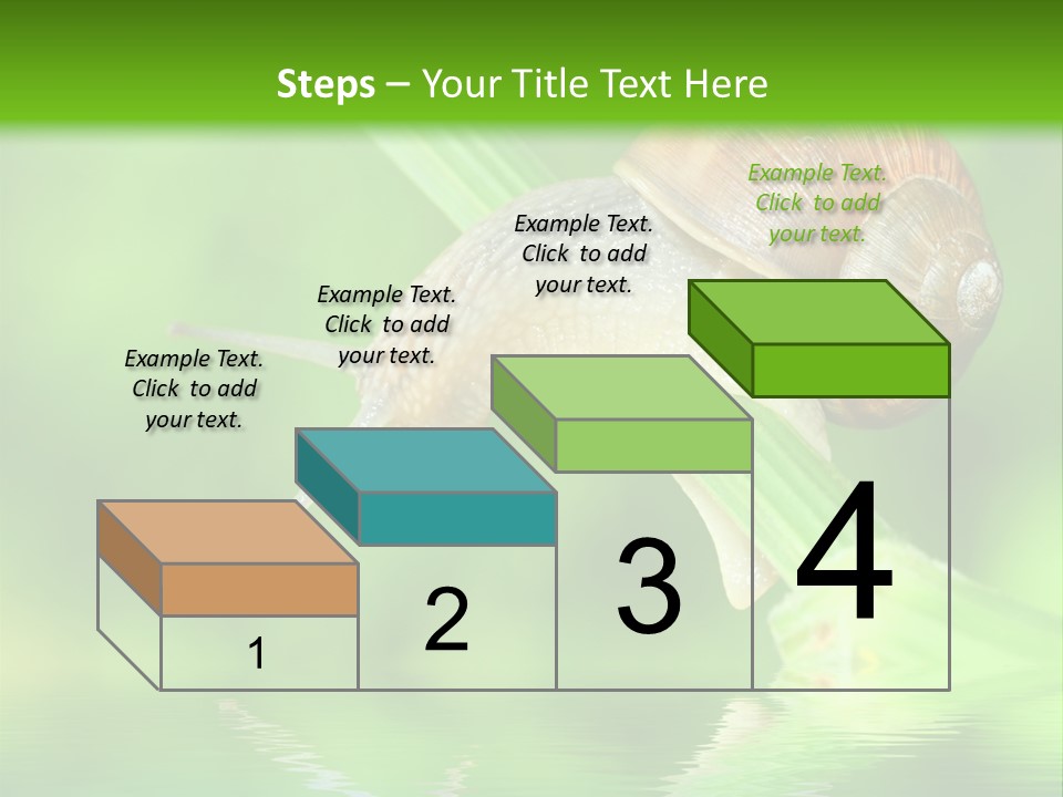 Close Up Macro Closeup PowerPoint Template