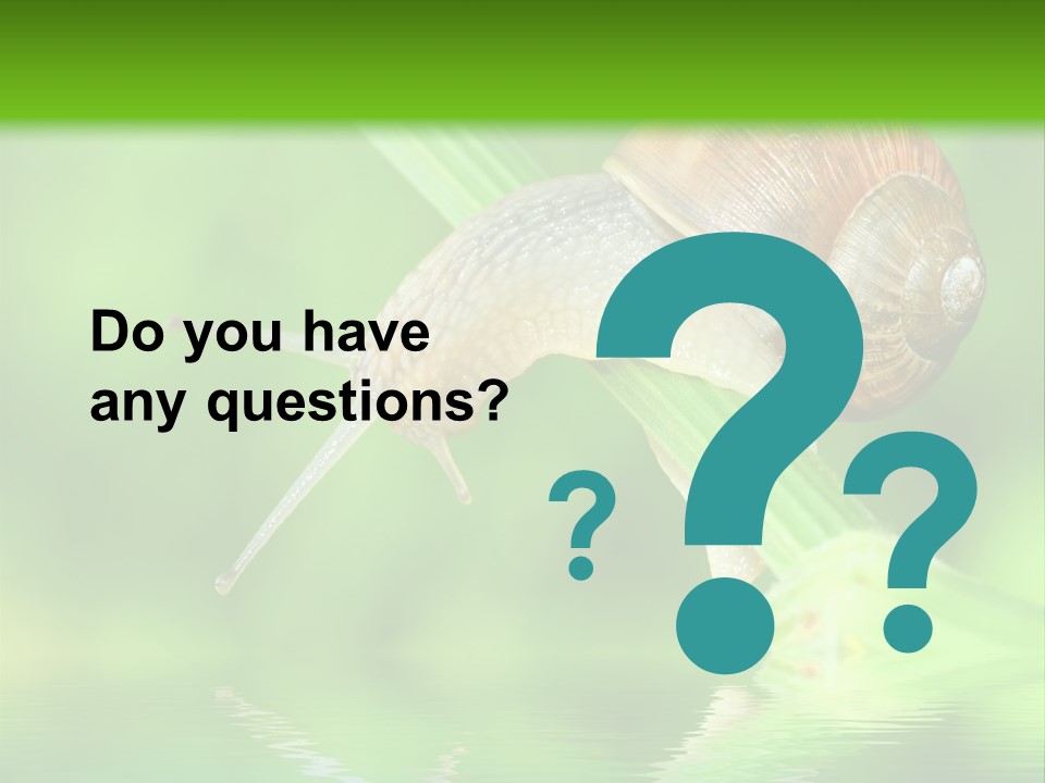 Close Up Macro Closeup PowerPoint Template