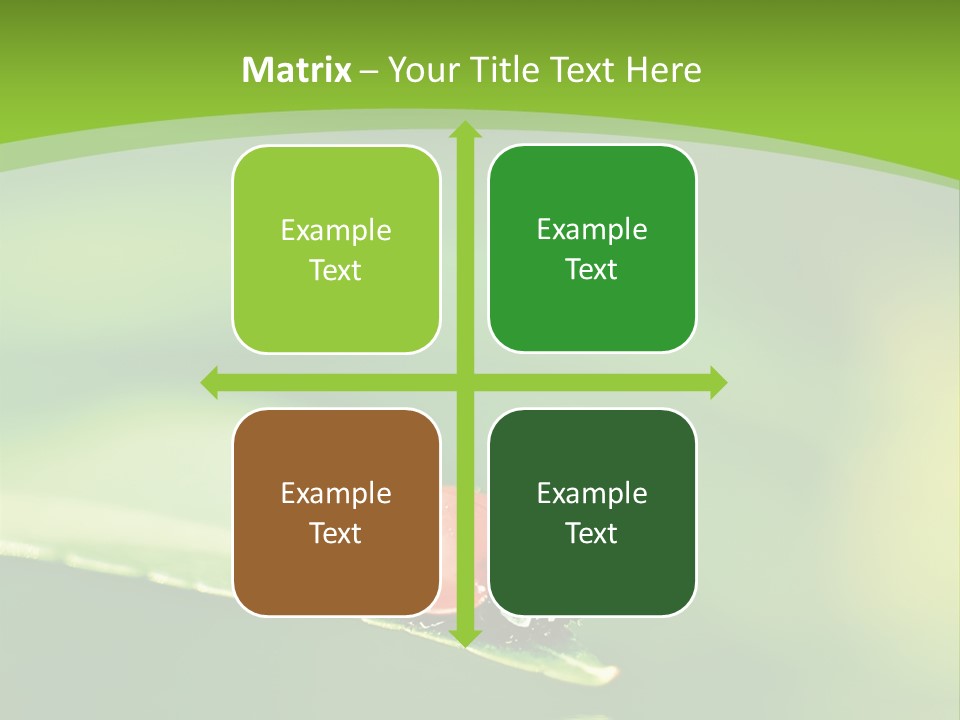 Color Beautiful Smooth PowerPoint Template