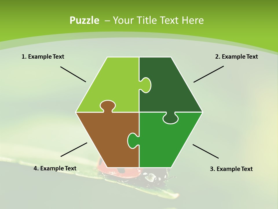 Color Beautiful Smooth PowerPoint Template