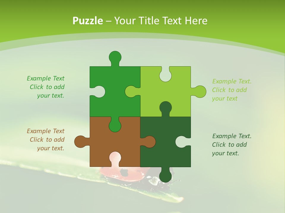 Color Beautiful Smooth PowerPoint Template