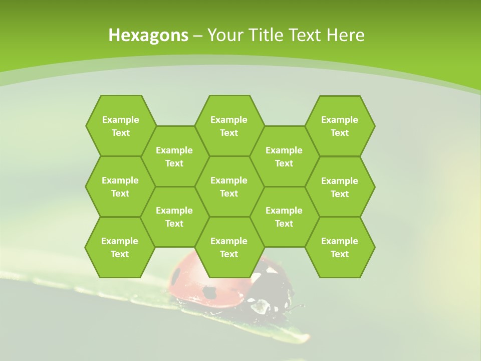 Color Beautiful Smooth PowerPoint Template