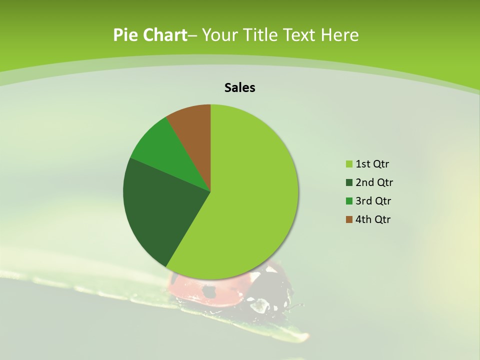 Color Beautiful Smooth PowerPoint Template